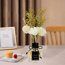 Load image into Gallery viewer, Traci K  Fragrance Creative Glass Diffuser Odor Removal Air Freshener Good Smelly Decorative Soothing Mood Essential Oil Glass Diffuser