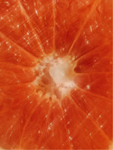 Load image into Gallery viewer, SELF by Traci K Beauty Colour Care Shampoo, Peachy Grapefruit Zest
