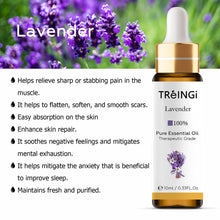 Load image into Gallery viewer, 10ml Pure Natural Essential Oils -Jasmine Lavender Rose Vanilla Mint Sage Cinnamon Bergamot Tea Tree Oil with Dropper