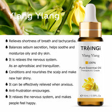 Load image into Gallery viewer, 10ml Pure Natural Essential Oils -Jasmine Lavender Rose Vanilla Mint Sage Cinnamon Bergamot Tea Tree Oil with Dropper