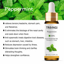 Load image into Gallery viewer, 10ml Pure Natural Essential Oils -Jasmine Lavender Rose Vanilla Mint Sage Cinnamon Bergamot Tea Tree Oil with Dropper