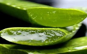 Aloe Vera Gel
