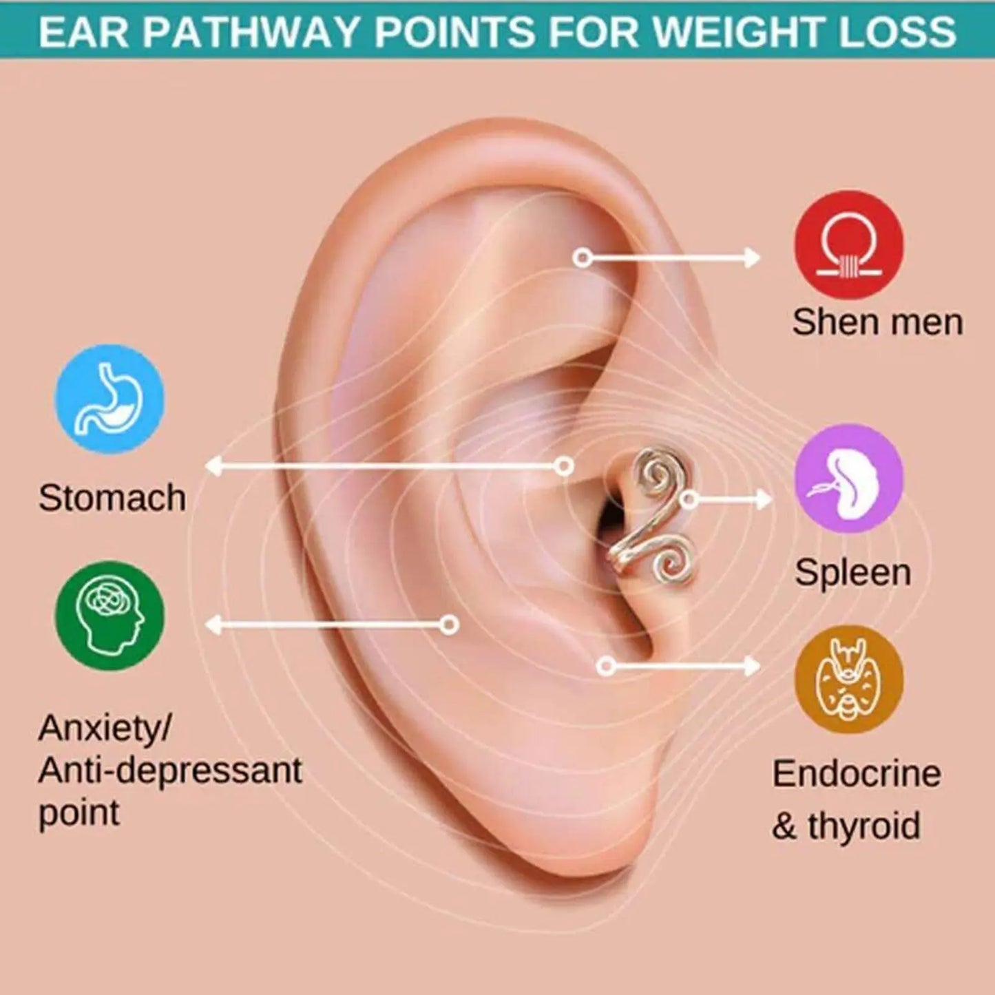 Ear Therapy CLips-Fashion Trending-Acupressure Slimming / Anti Depression/Menopause Ear Therapy Healthcare Weight Loss Non Piercing Earrings by Traci K Beauty Slimming Healthy Stimulating Acupoints Gallstone Clip