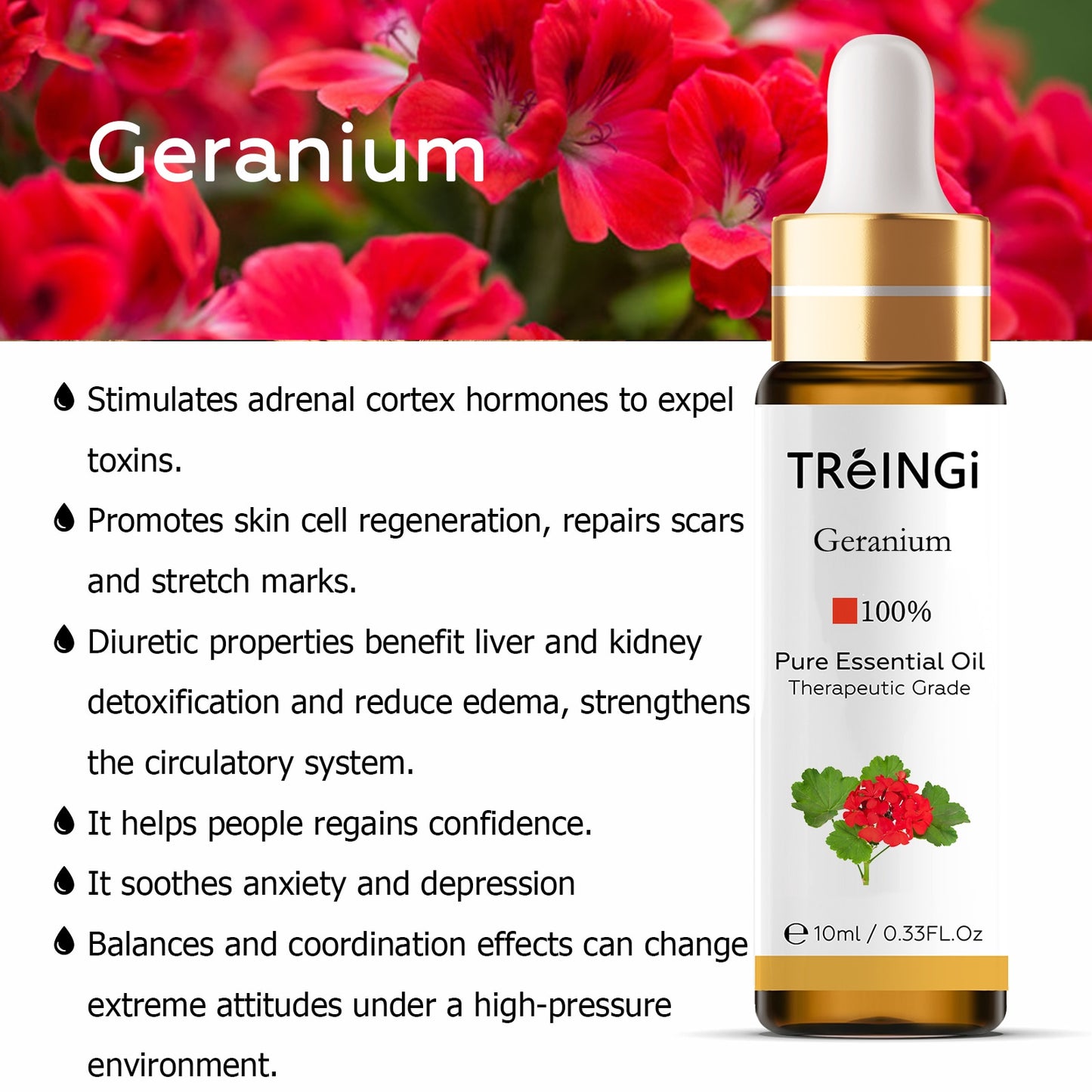 10ml Pure Natural Essential Oils -Jasmine Lavender Rose Vanilla Mint Sage Cinnamon Bergamot Tea Tree Oil with Dropper