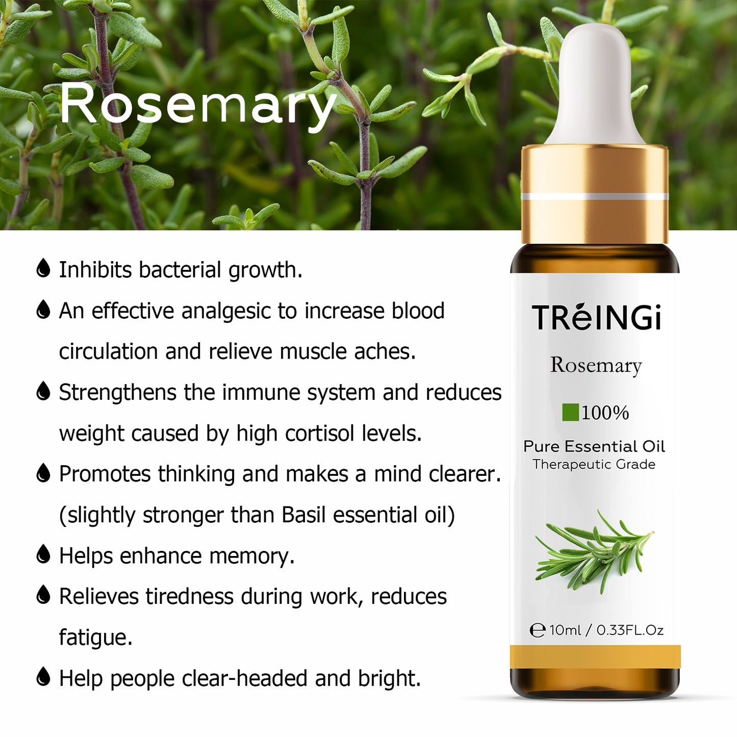 10ml Pure Natural Essential Oils -Jasmine Lavender Rose Vanilla Mint Sage Cinnamon Bergamot Tea Tree Oil with Dropper