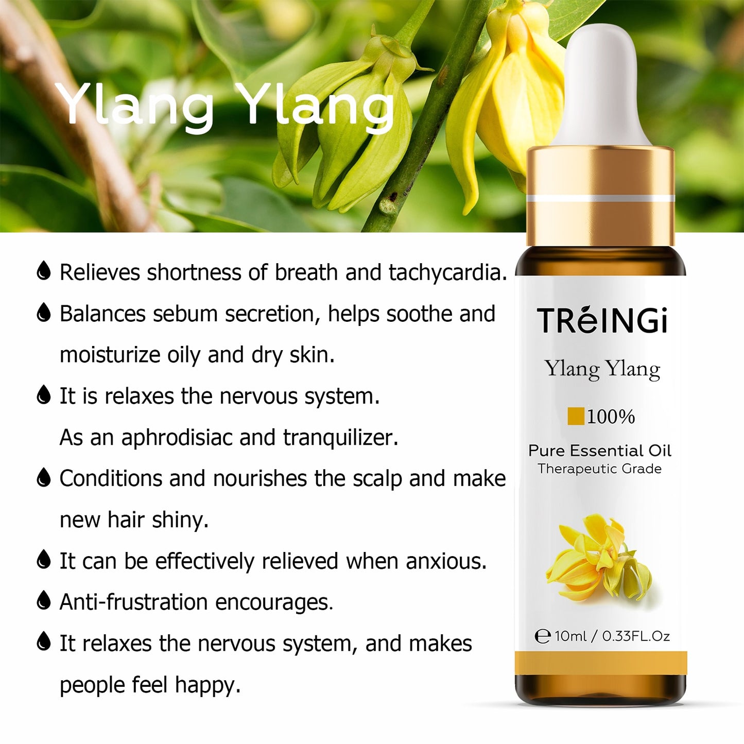 10ml Pure Natural Essential Oils -Jasmine Lavender Rose Vanilla Mint Sage Cinnamon Bergamot Tea Tree Oil with Dropper