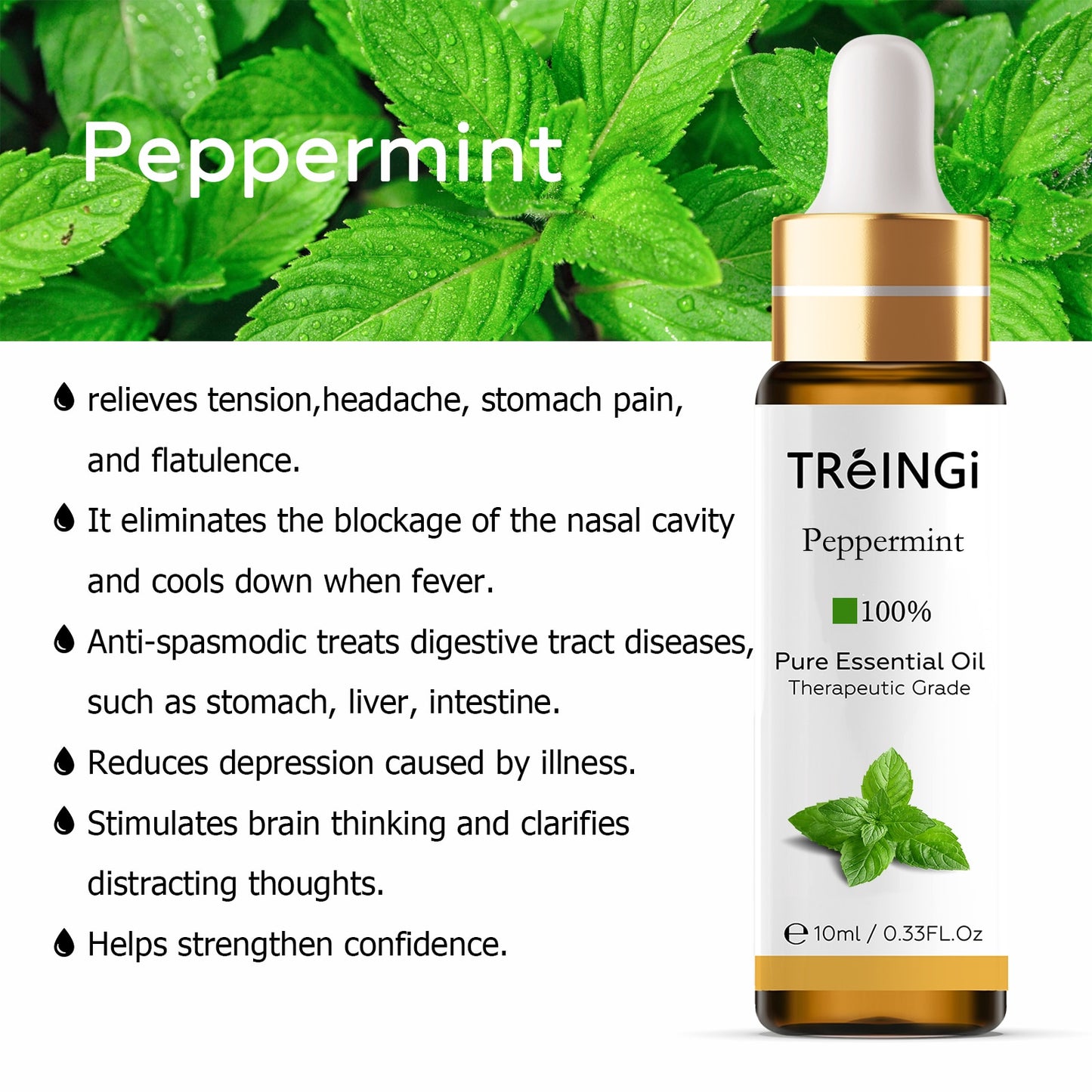 10ml Pure Natural Essential Oils -Jasmine Lavender Rose Vanilla Mint Sage Cinnamon Bergamot Tea Tree Oil with Dropper