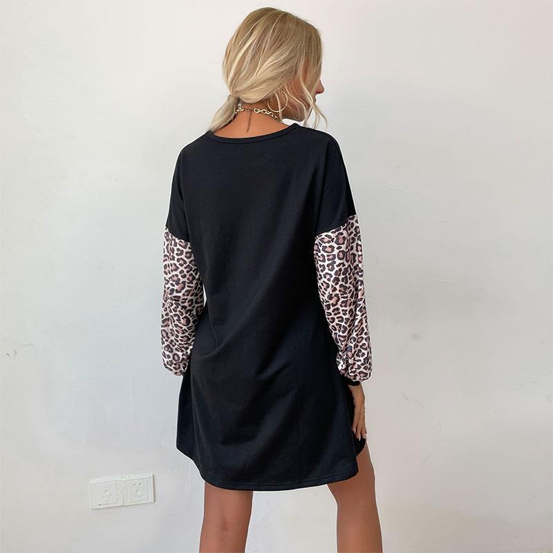 Casual Round Neck Long Sleeve Dress