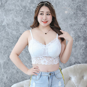 Large size lace beautiful back underwear Sexy sling wrapped chest without steel ring with chest pad plus fertilizer and enlarged bottoming vest for women