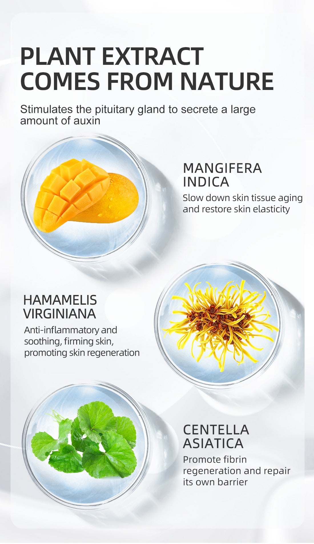 RtopR by  Traci K Beauty Mango Health Massage Cream Promotes Bone Growth Natural Growth Teenagers  Grow Taller Artifact Health Care Products Foot Massage
